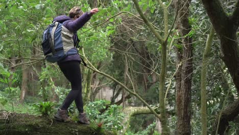 woman walking in tree trunk in forest