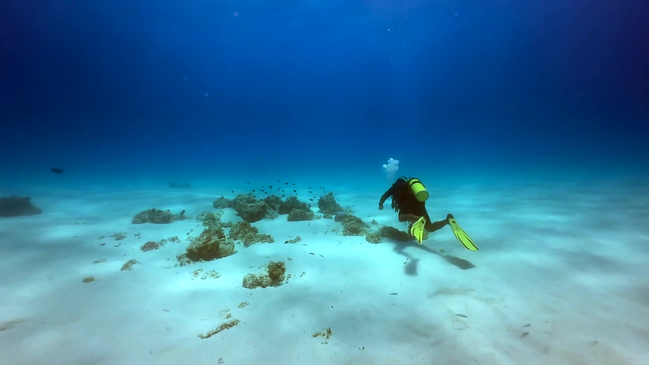 Diver explores a small coral reef on a sandy bottom near Mnemba Island, Zanzibar, Tanzania.