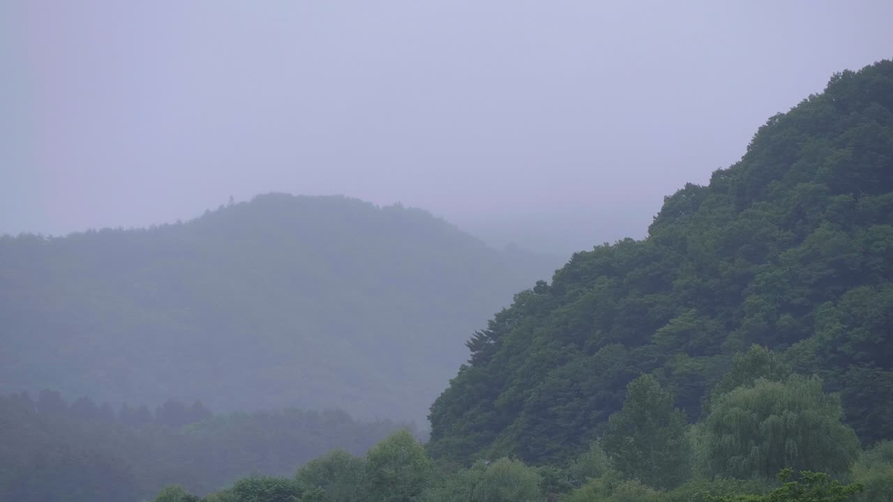 일본 고지대 후지산 주변의 안개