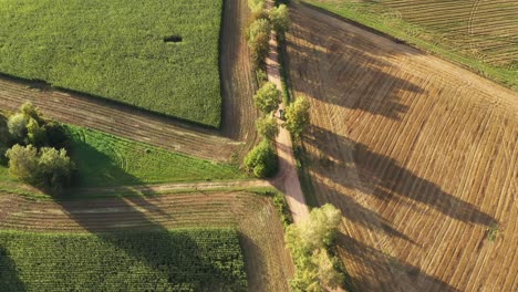 Viaje-Por-Carretera-En-El-Campo-Con-Camión-Azul-En-Un-Camino-De-Tierra-En-El-Callejón-De-Abedul,-Vista-Aérea-Hacia-Abajo