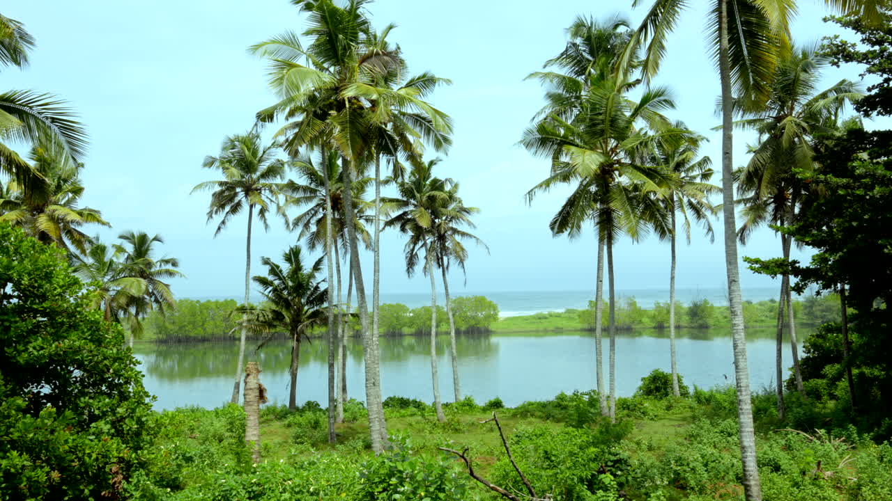 tropical beaches in India kerala with coconut trees and lakes