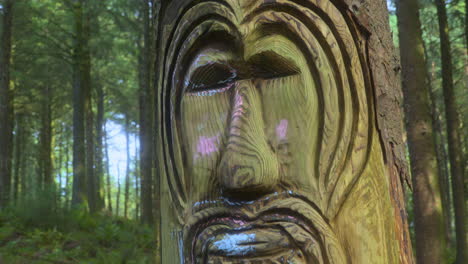 face carved into large tree with bokeh background and zoom out in english pine forest on summer day