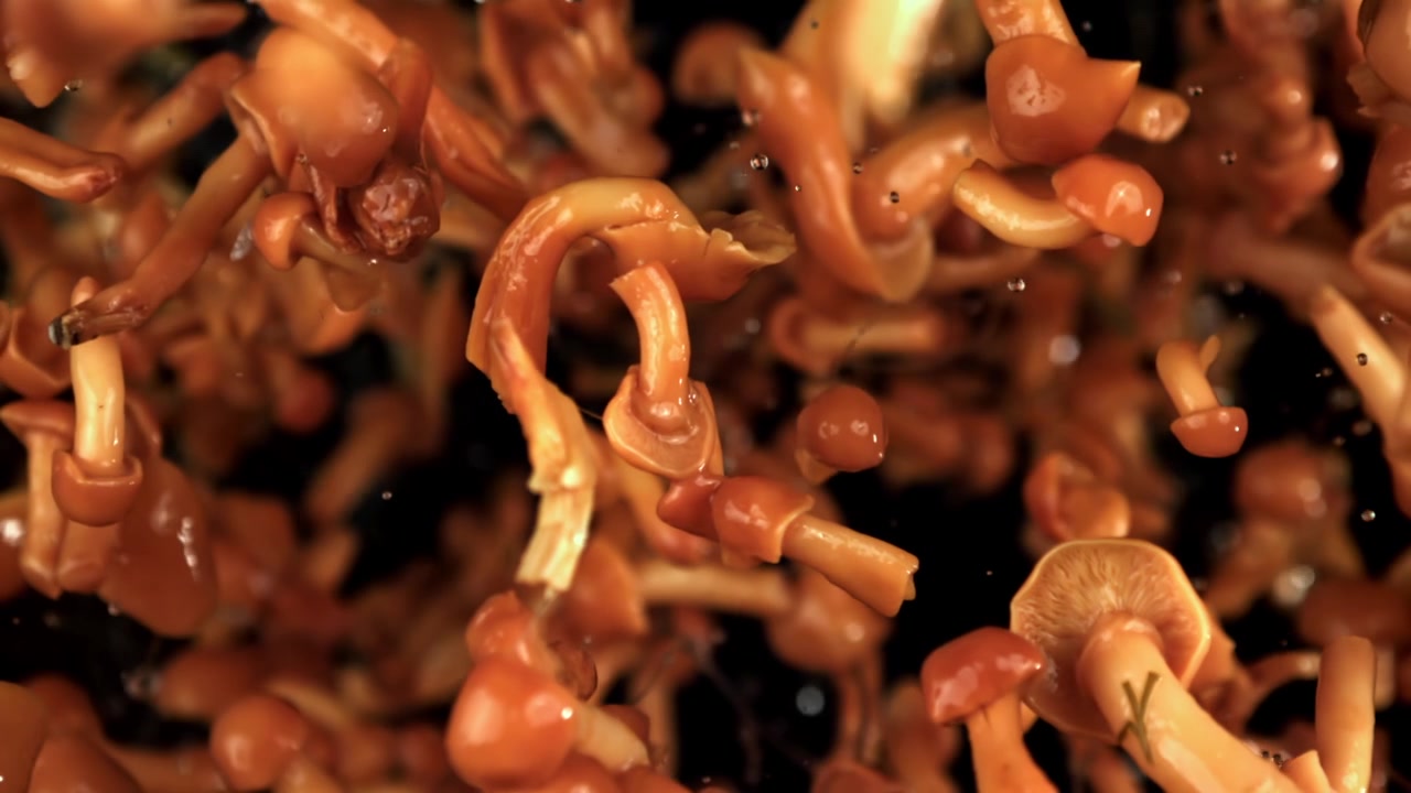 Funghi chiodini freschi che cadono al rallentatore su uno sfondo scuro