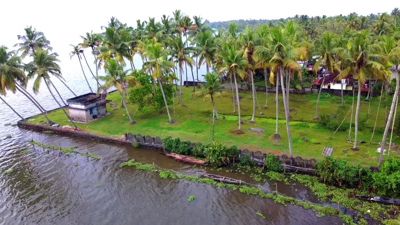 Aerial view of lush, green Kerala backwaters, shoreline with swaying coconut trees, and a small waterfront structure