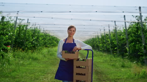 farmer lady working in harvest season at fruit tree plantation. farm concept.