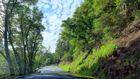 Driving-through-serpentine-road-in-the-woods-forest-sunny-day-driver-POV