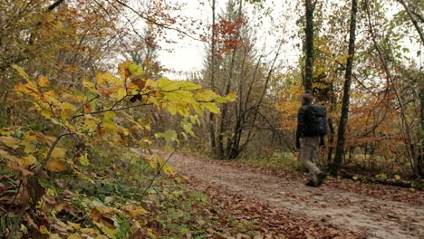 una persona caminando en un día de niebla en un camino de grava rodeado de colores otoñales amarillos y naranjas