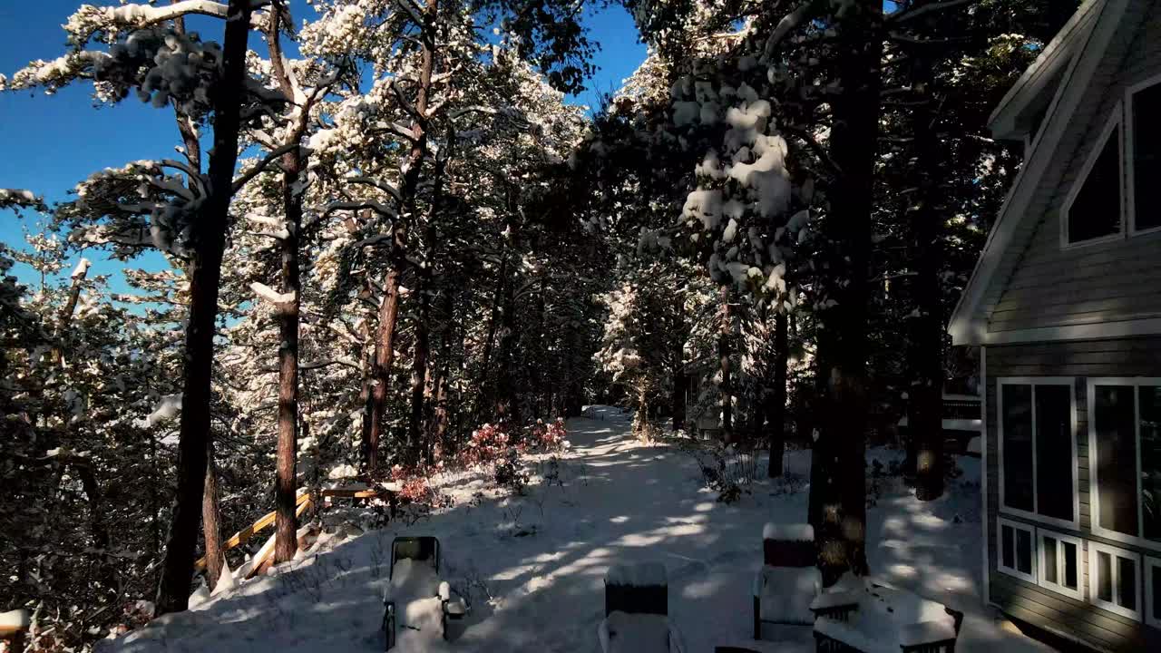 경치 좋은 뉴잉글랜드 호숫가를 지나 날아가는 나무 사이로 공중 눈 덮인 길