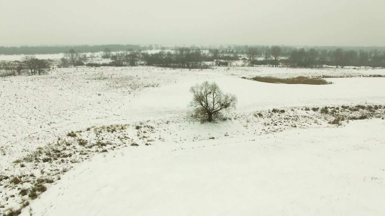 4k 공중. 겨울 구름 모양의 원은 눈과 나무의  위로 날아갑니다. 풍경.