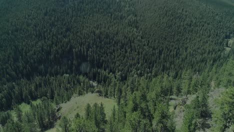 aerial of canyon in the bighorn mountains of wyoming
