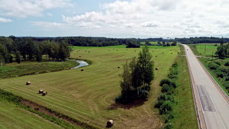 bales of straw lie on a mown lawn on a sunny day in latvia