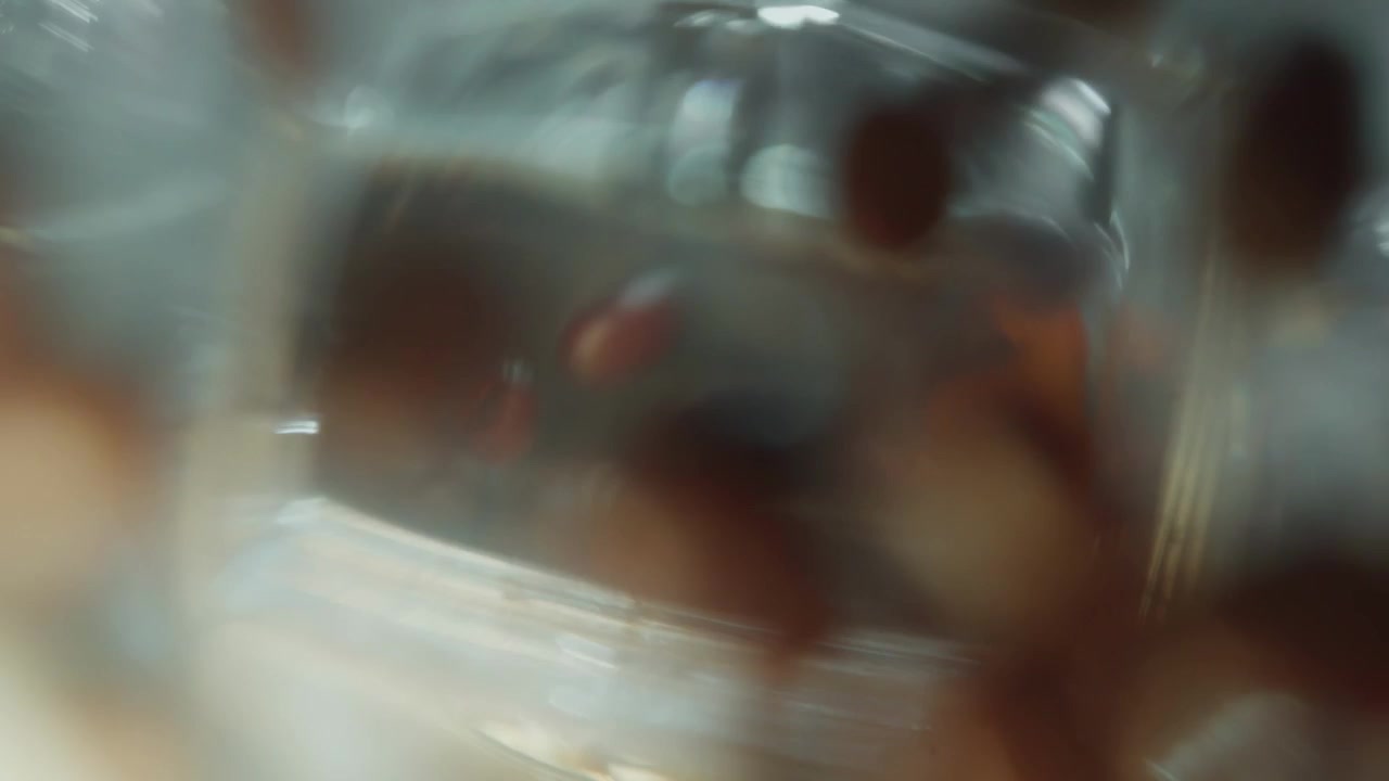 Ripresa POV ravvicinata di chicchi di caffè tostati che cadono direttamente sull'obiettivo della fotocamera attraverso un vetro trasparente. Filmato macro dinamico per concetti di caffè, colazione e preparazione