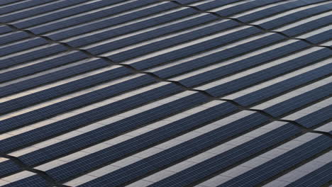 this sweeping aerial view captures a peaceful moment at a solar power farm in bulgaria. with the sun low on the horizon, the panels shine with reflections of eco-friendly energy production.
