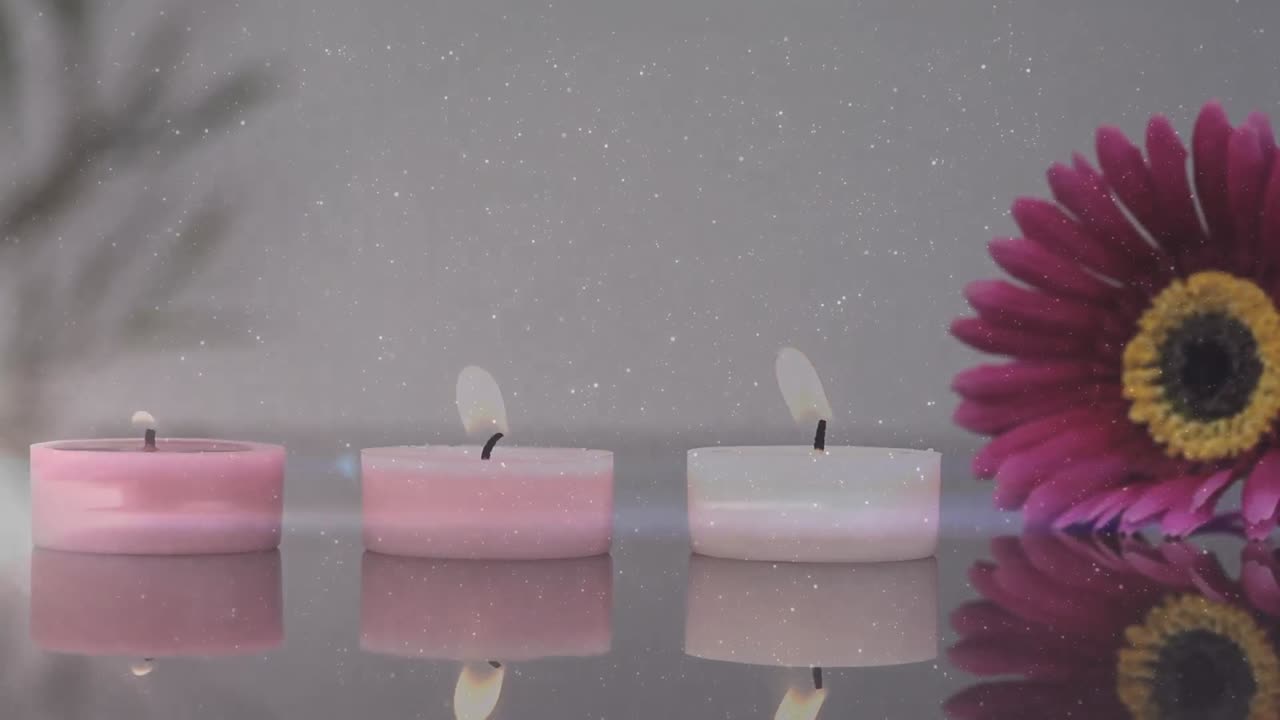 불과 꽃 위에 빛의 반점이 생성됩니다.