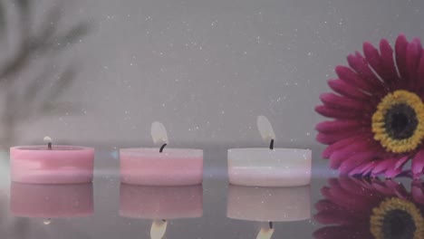 animación de puntos de luz sobre velas y flores