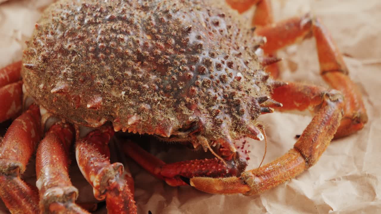 Fresh Crab on Brown Paper