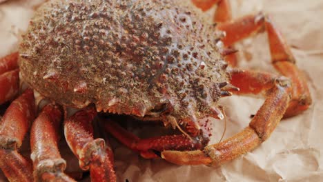fresh crab on brown paper