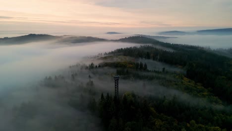 amanecer brumoso sobre un oscuro bosque otoñal con torre de vigilancia en primer plano