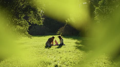 family enjoying a day in the park