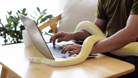 man working with snake at home