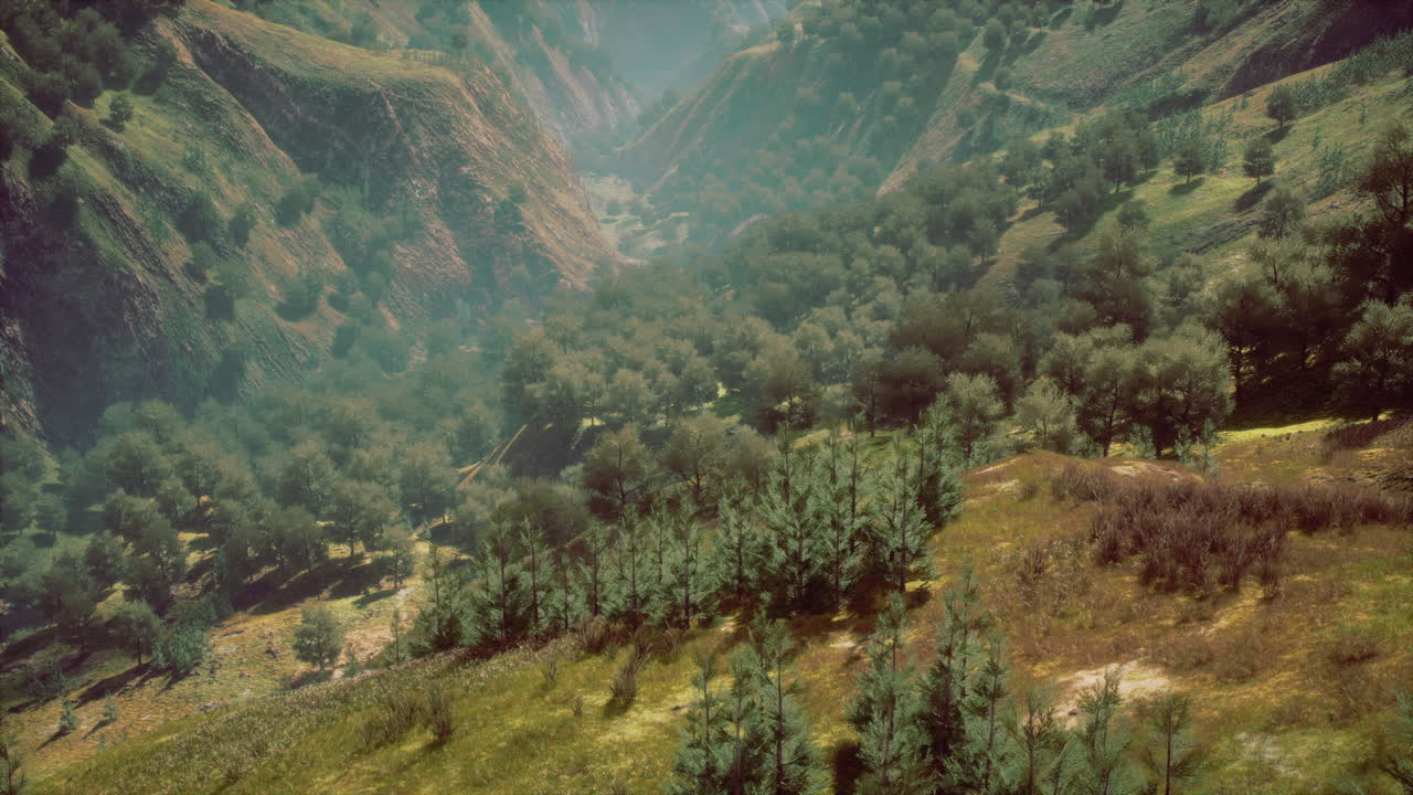 bosques interminables en un día soleado con perspectiva en color
