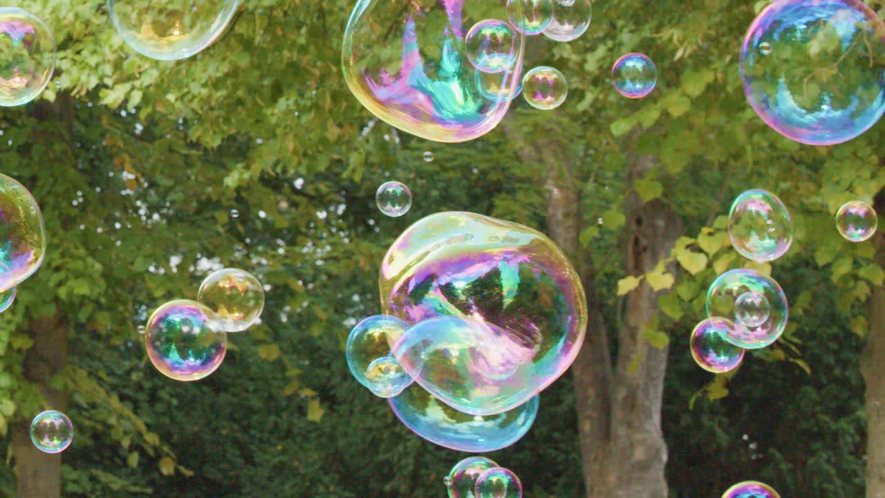Multiple iridescent soap bubbles drift among leafy green trees in a sunlit park, captured with a steady camera and natural lighting