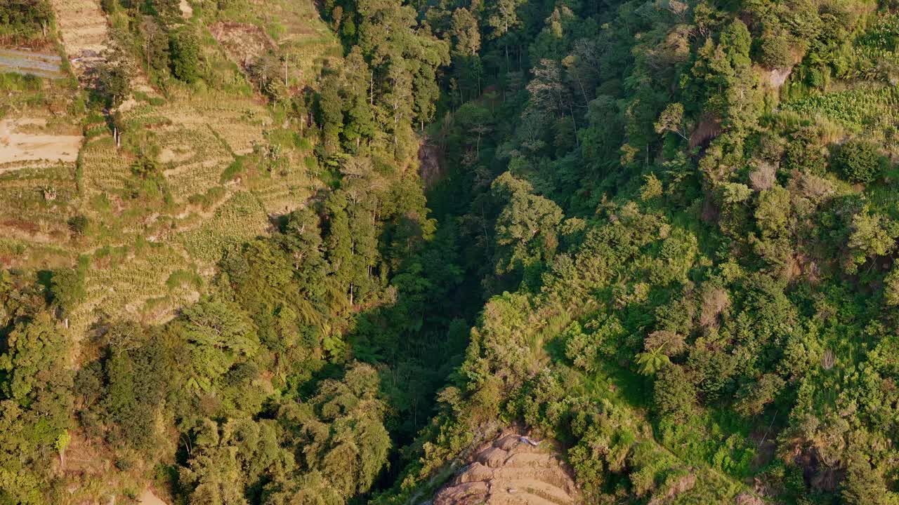 Aerial video of the valley with lush forest and the sun on the vegetation.