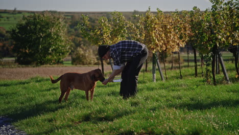 wide angle view of man helping dog drink water out of his hand at tree nursery farm at sunset