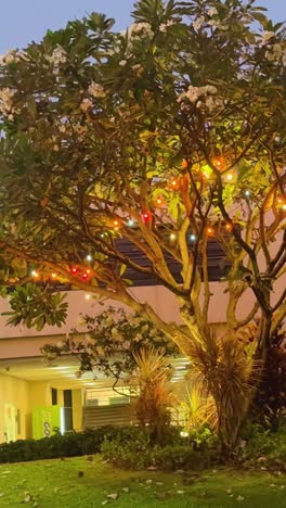 decorated tree with lights in bangkok, thailand