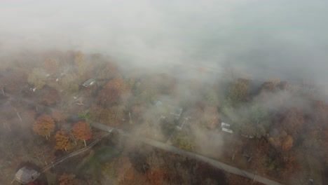 aerial shot of pinery provincial park during a cloudy morning in autumn season