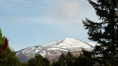 Lapso-De-Tiempo-De-Las-Nubes-Girando-Más-Allá-De-Las-Colinas-Nevadas-Detrás-De-Los-árboles-En-Una-Tarde-Soleada