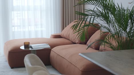 modern living room with brown sofa and palm tree