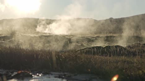 an atmospheric wide shot captures the geothermal area of geysir in iceland, with significant amounts of steam rising from various hot springs and vents across the landscape.