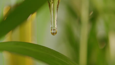 fondo verde fresco con gotas líquidas de un gotero de pipeta médica