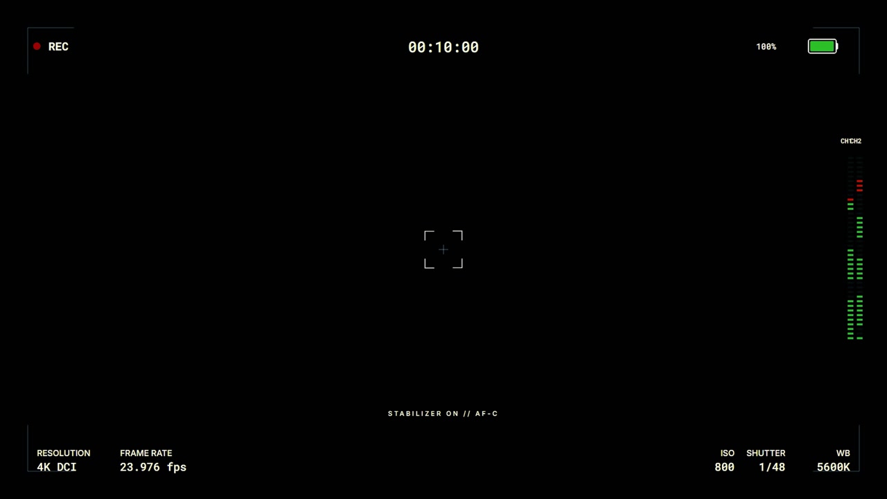 Digital Camera Viewfinder Interface Overlay with Recording Indicators