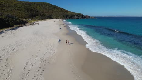 4K-Drone-Video-flying-up-and-back-to-reveal-the-white-sand-and-blue-ocean-waves,-a-couple-is-walking-along-Shelley-Beach,-Albany-in-Western-Australia