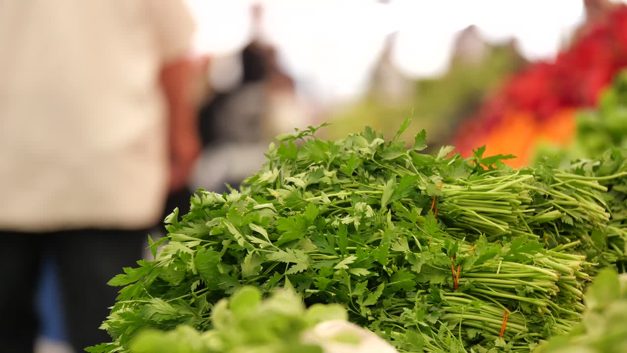 Fresh Parsley at the Grocery Store