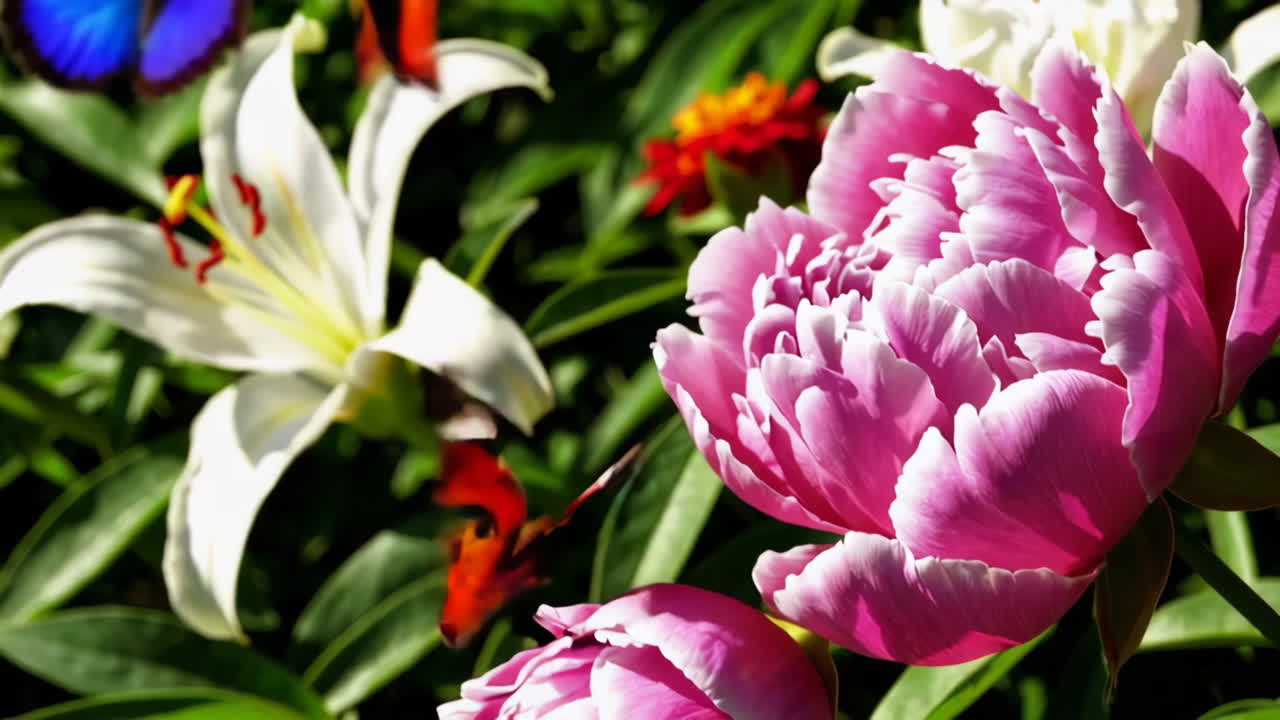 hermosas flores y mariposas en un jardín