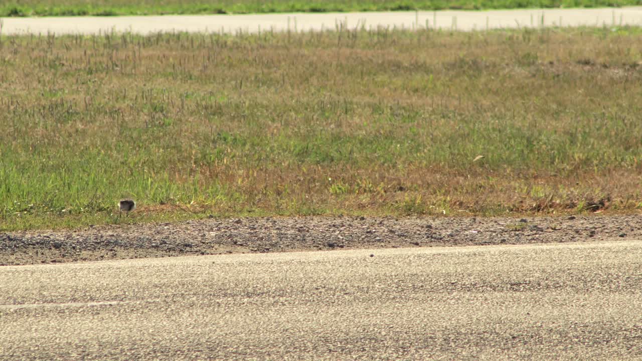 아기  ⁇ 은 길을 따라  ⁇ 는 가면을 쓴  ⁇  날개를  ⁇ 고 있습니다.