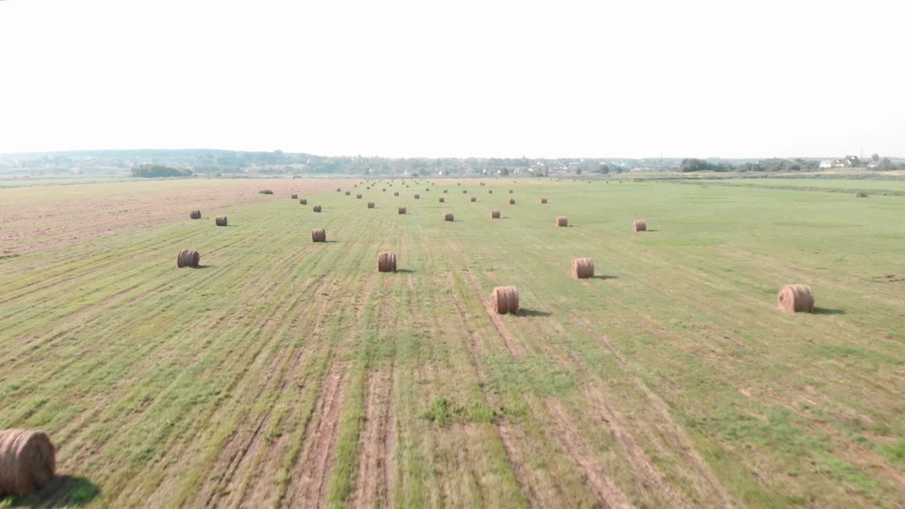 Yaz tarlası ve saman yığınları. Hasat edilmiş yeşil tarlada yuvarlak balya samanlar. Kırsal vahşi manzara. Kırsal alanda tarım arazisi