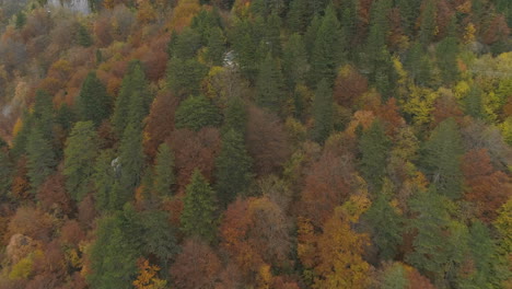 Imágenes-Aéreas,-Camino-Salvaje-En-Medio-De-Los-Bosques-De-Los-Balcanes-Durante-El-Otoño,-Bulgaria