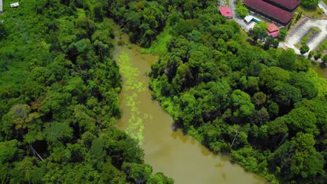 sorprendentes imágenes cinematográficas de drones residenciales de 4k después de que el problema de la deforestación consiste en muchas casas, carreteras, árboles, lagos e infraestructura en medio del bosque tropical ubicado en riau, indonesia