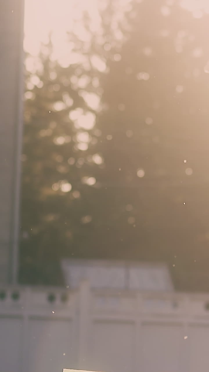 young guy silhouette throws up books and sheets and friend with burger falls down at back sunlight slow motion