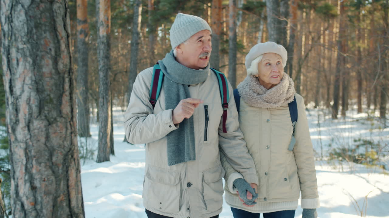 Senior Couple Hiking in a Snowy Forest