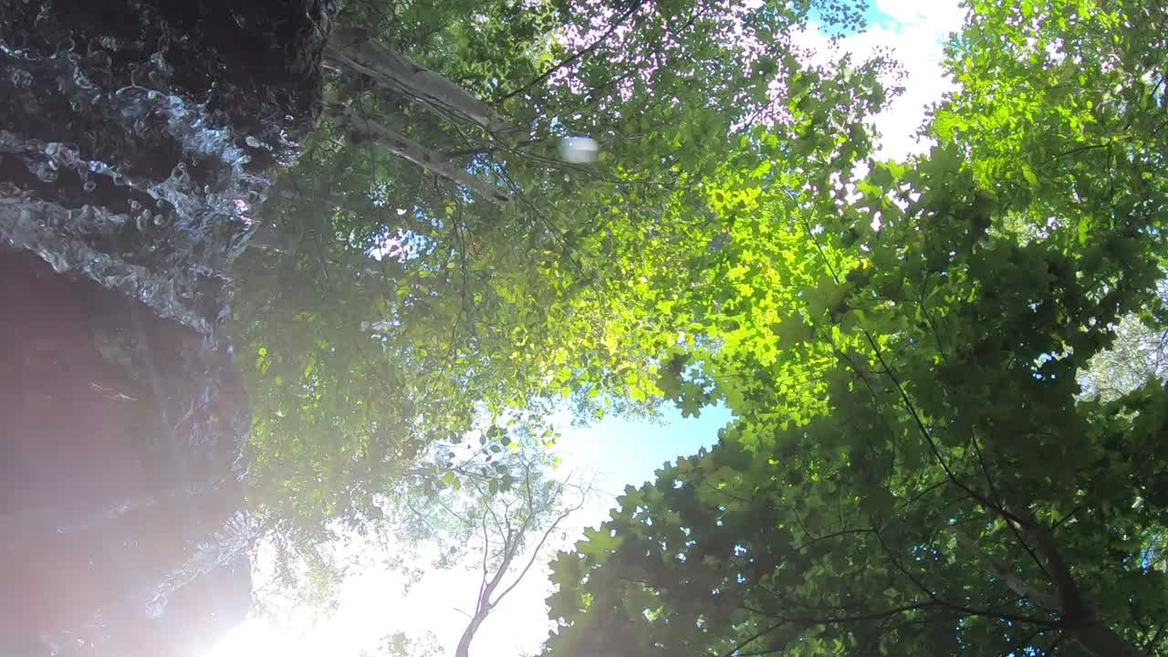 Forest waterfall view from below