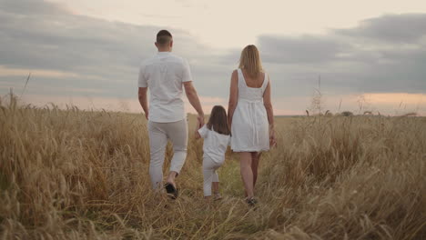 slow motion: happy family of farmers with child are walking on wheat field. healthy mother father and little daughter enjoying nature together outdoors.