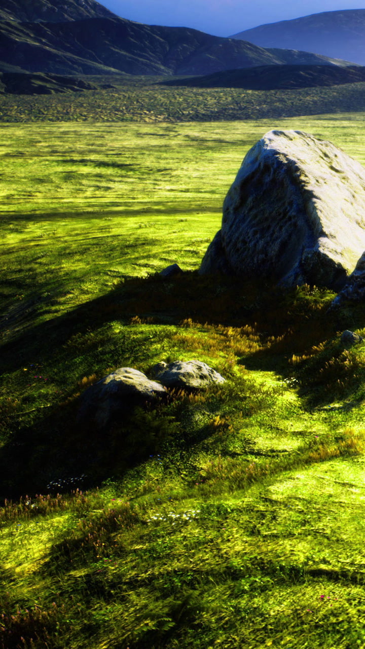 Sunlight shines on grass and rocks in open landscape during midday