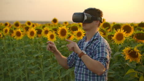 El-Biólogo-Está-Trabajando-Con-Gafas-Vr.-él-Está-Involucrado-En-El-Proceso-De-Trabajo.-Es-Un-Hermoso-Día-Soleado-En-El-Campo-De-Girasoles.