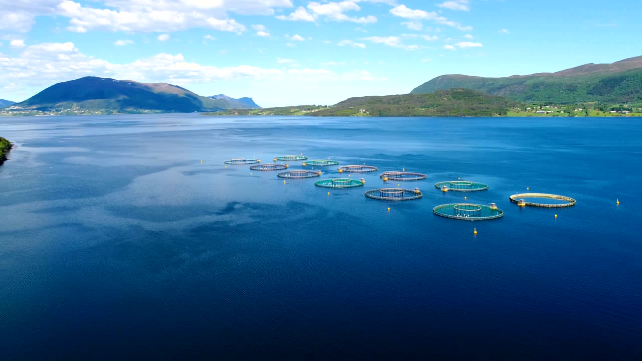 노르웨이에서 연어  ⁇ 시를 하는 공중 촬영
