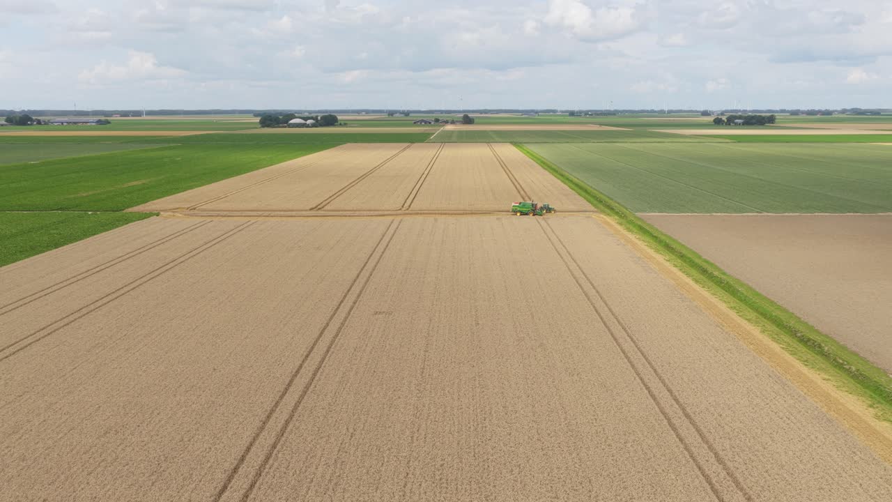 Aerial combine harvest on farmland, dust trail across gold crop, Netherlands
